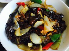 山蘑炒肉-龙福源密云水库灶台鱼