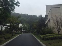 -东航云逸酒店(九溪烟树店)