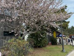 -柱状节理带