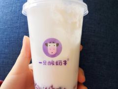 -一只酸奶牛(时代天街A馆店)