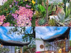 -莲花山公园