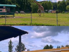 -哈尔滨北方森林动物园