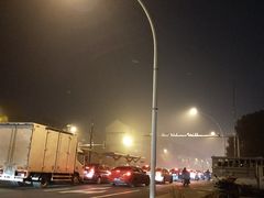 -佳百利宠物(荣乐中路115弄小区店)