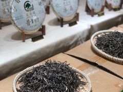 -南宁国际会展中心(会展东博文化旅游区)