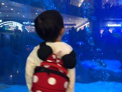 -成都浩海立方海洋公园