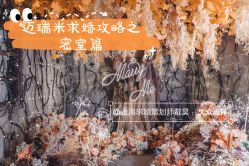 -迈瑞米求婚策划(静安店)