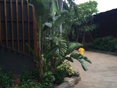 -厦门日月谷温泉渡假村