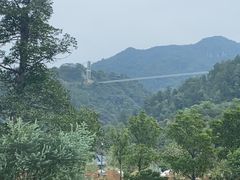 -南丹山森林王国