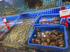 水产区-必点海鲜·鲅鱼水饺(鞍山西道店)