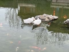 -祝家花園(伯渎港店)