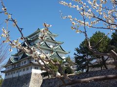 -名古屋城
