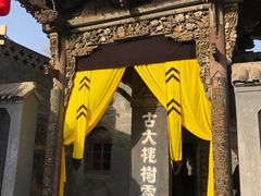 -大槐树寻根祭祖园