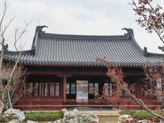 -江心屿景区