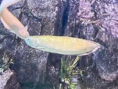 -嘉兴海底世界
