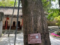 -南阳卧龙岗武侯祠
