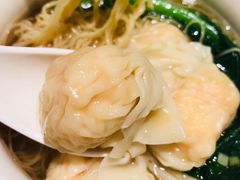 -南枝记