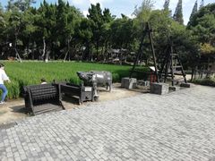 景点-朱家角课植园