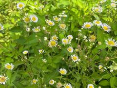 -白鹭湾湿地公园