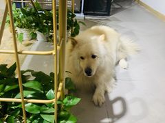 -肆兮眼镜·蔡司·徕卡战略合作店(大坪店)