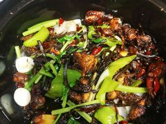 -清真巴爷香辣鸡煲(秦州店)