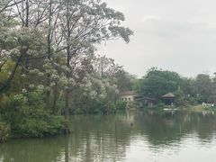 -海珠湖公园