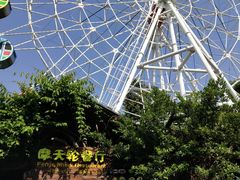 -摩天轮餐厅(长鹿旅游休博园店)