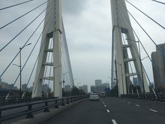 -运河游船(武林门码头)