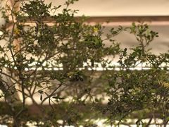 -RUXU入续糖水铺与包(卓悦中心店)
