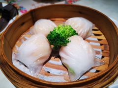 隆隆金虾饺皇-隆隆金大茶楼(明珠广场店)