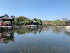 -无锡蠡湖国家湿地公园-蠡园