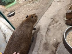 -Zoolung Zoolung动物主题公园(海信广场店)