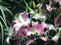 -春暖花开(西溪店)