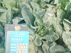 -上膳源有机农场