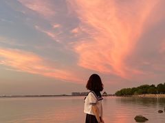 -瑶湖郊野森林公园