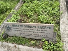 -海口火山口国家地质公园
