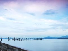 -深圳湾公园(南山区)