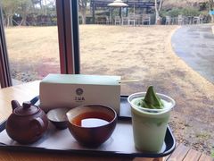 -雪绿茶博物馆