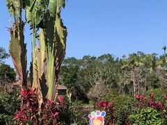 -海南热带野生动植物园