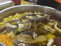 -菌极鲜野生菌火锅店(阳明祠店)