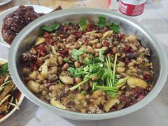 -食神又名厕所兔