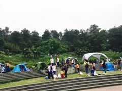 -铁山坪森林公园