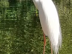 -海南热带野生动植物园