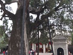 -黄帝陵