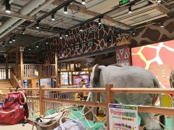 -鲁比猴非洲探索部落(喜盈门店)