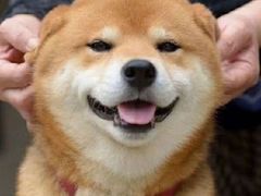 -枫叶小镇奥特莱斯