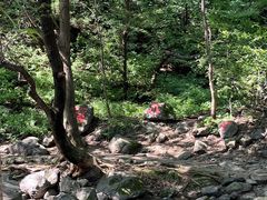 -香炉山国家森林公园