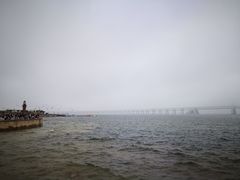 -星海湾跨海大桥
