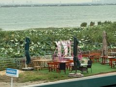 -七的湖·晚芳亭·阳澄湖农家菜·大闸蟹(莲花岛店)
