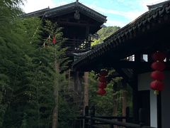 -大唐贡茶院