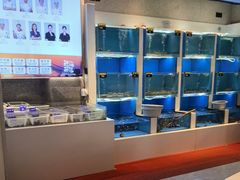 -赶海部落海鲜城(海阳路店)